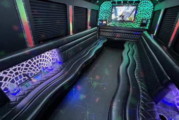 Dothan Limo Bus Interior