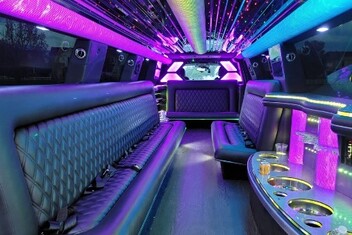 Dothan Limo Interior